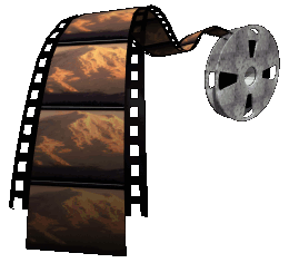Filmare Evenimente